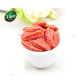 Bayas goji baya goji frutas para la venta goji bayas plantas para la venta con jiangnanhao